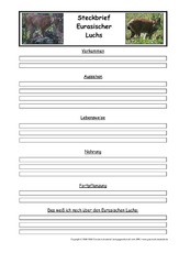 Luchs-Steckbriefvorlage.pdf